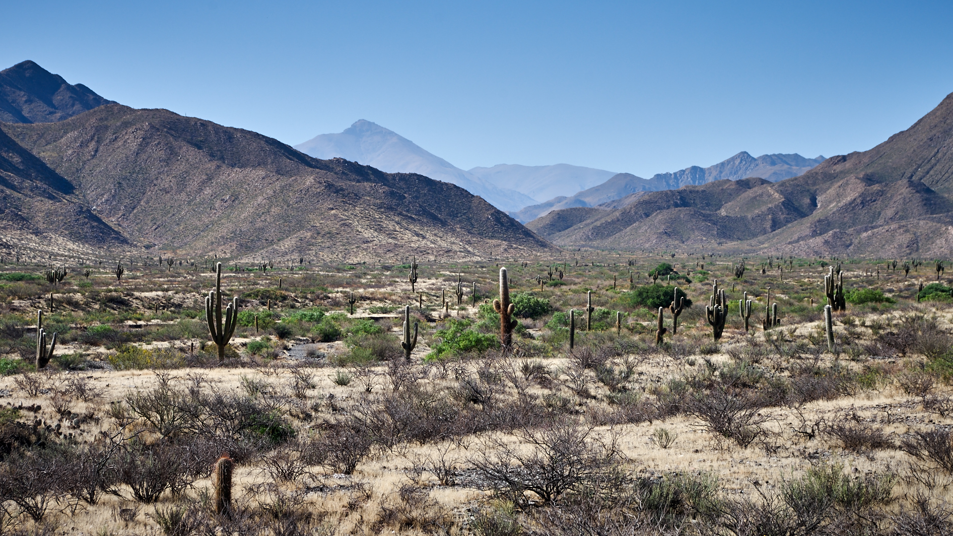 Humahuaca